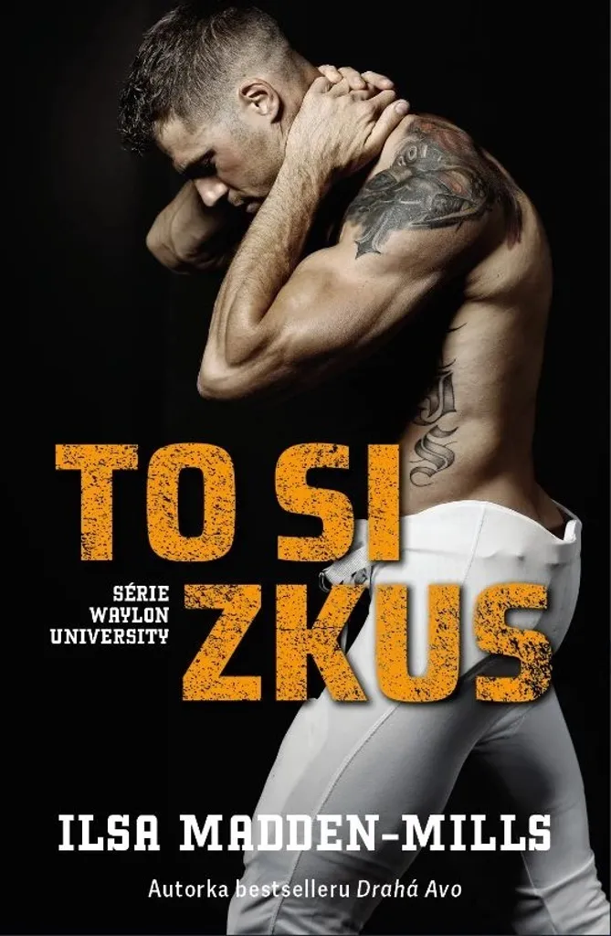 Livre Romance To si zkus Ilsa Madden-Mills : Évitez la Panne de Lecture