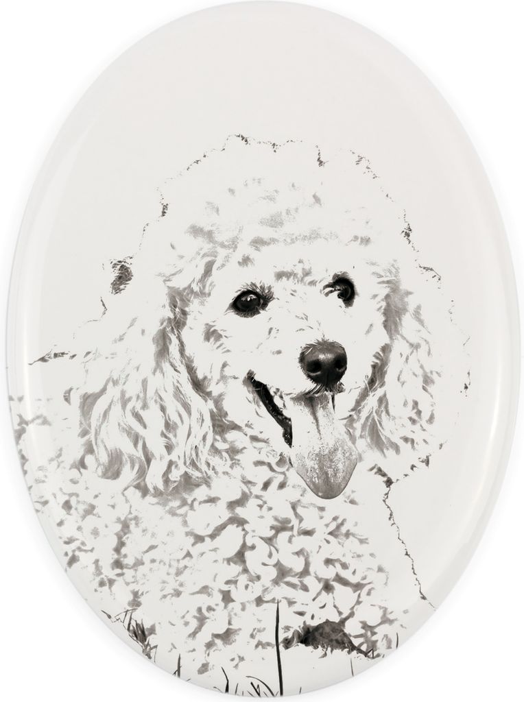 Pudel - Gedenktafel mit einem Foto eines Hundes, Grabplatte mit Druck, personalisierte ovale Platte der Marke Art-Dog
