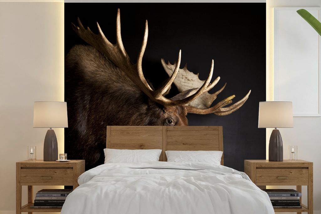 MuchoWow Fototapete für Wohnzimmer oder Schlafzimmer Wandtapete Vinyl Motivtapete Elch - Braun - Geweih - 350x350 cm - Schlafzimmertapete