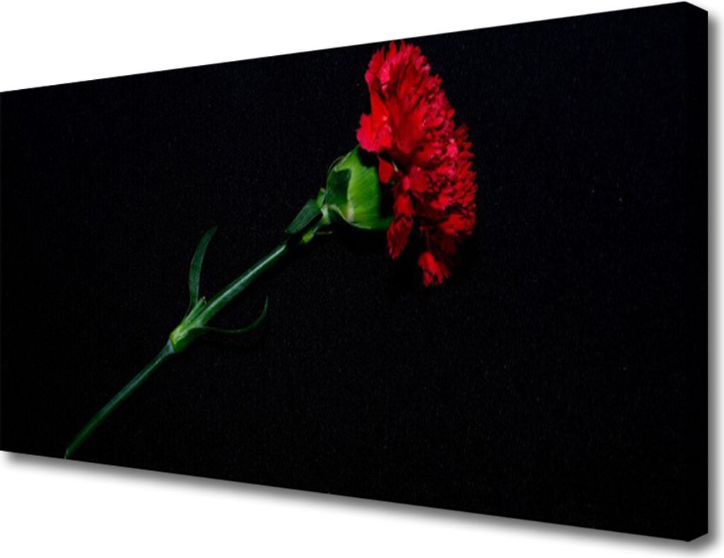 Tulup Leinwand-Bilder 100x50 Wandbild Canvas Kunstdruck Blume Pflanzen