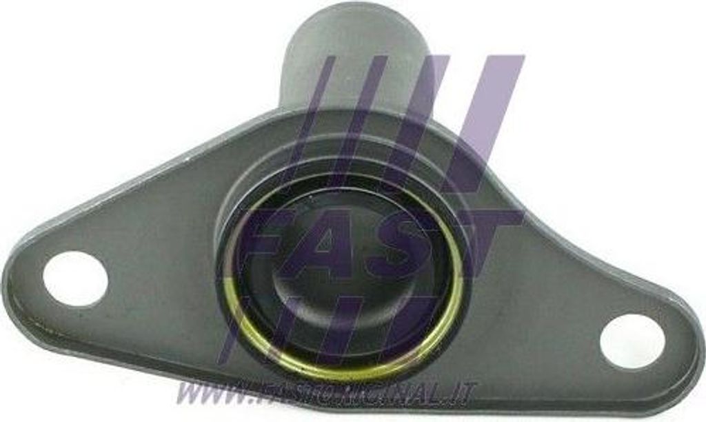 FAST FT28205 Dichtung, Ölablassschraube OE 7700859126 kompatibel mit Thalia, Megane, Laguna, Kangoo, Espace, Clio