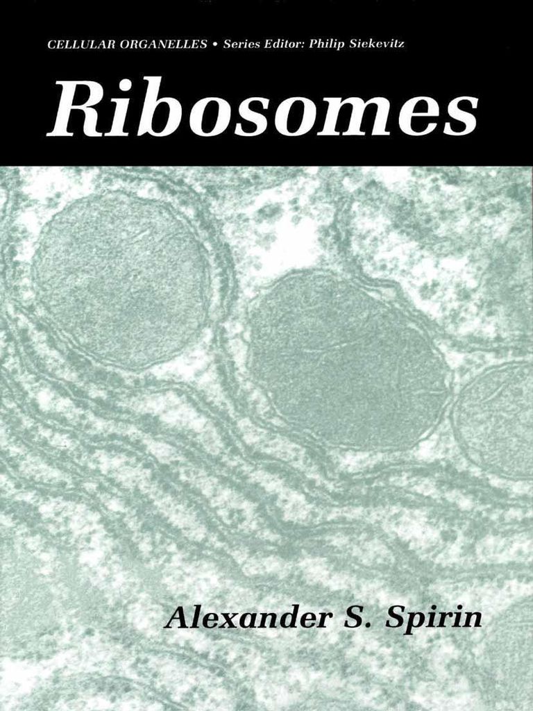 Ribosomen