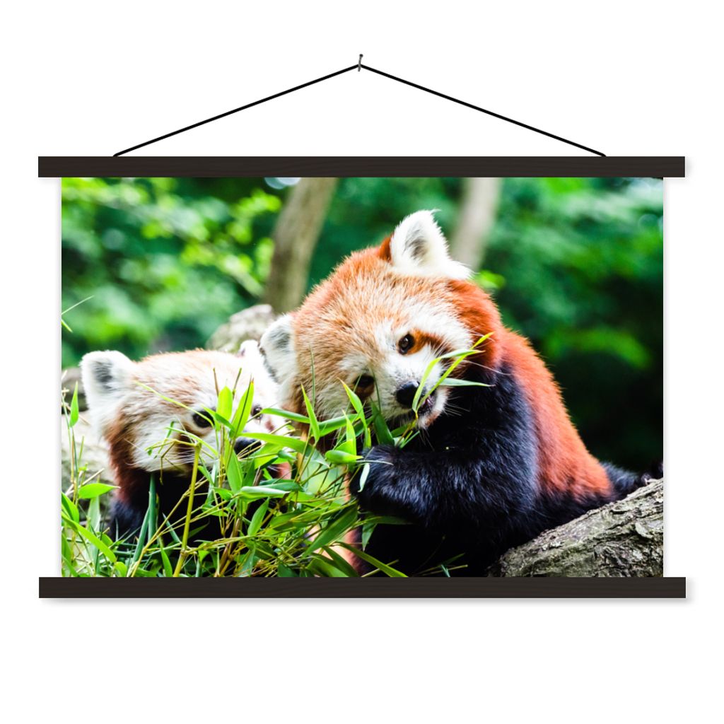 MuchoWow Textilposter Roter Panda - Pflanzen - Baumstamm 150x100 cm mit schwarzem Rahmen - Schlafzimmer