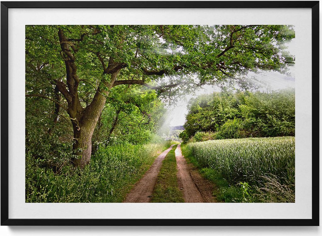 Weg, Bäume und Sonnenschein– Wandbild mit Rahmen – Gerahmtes Bild – Wanddekoration – 100x70 cm – Schwarz Rahmen