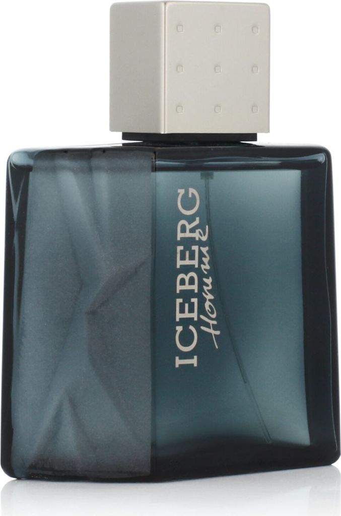 Iceberg Classic Homme, Männer, 100 ml, Nicht nachfüllbare Flasche, Spray, ALCOHOL DENAT., AQUA (WATER), PARFUM (FRAGRANCE), LINALOOL, LIMONENE, C...