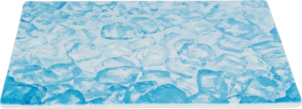 TRIXIE Kühlplatte - blau - 35 × 25 cm Produktbild 