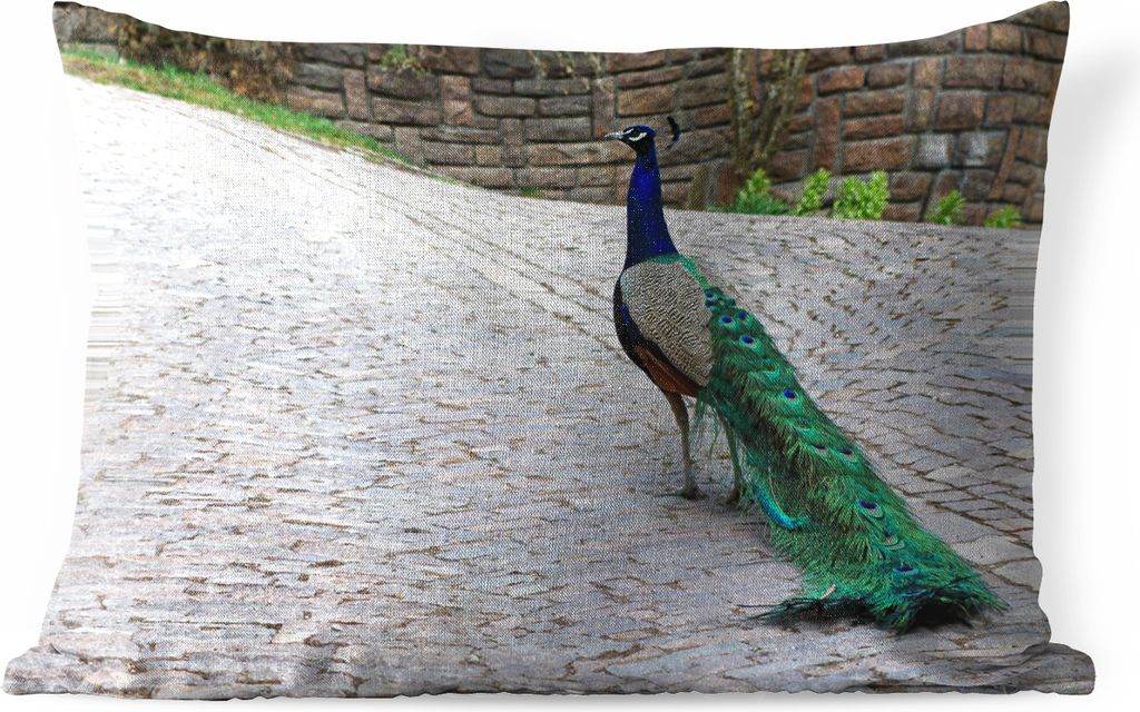 MuchoWow Outdoor Kissen - Pfau - Federn - Steine - 60x40 cm - Wetterfest - Lounge Kissen - Zierkissen - Kissen für Innenräume