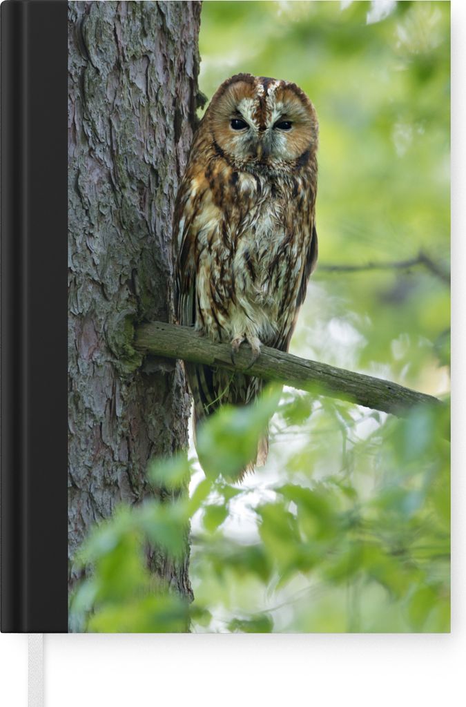 MuchoWow Notizbuch Tagebuch Haushaltsbuch Notebook A5 Waldkauz auf einem Ast im Baum - Notizblock - Notizheft - Notebook - Schreibblock - Papier