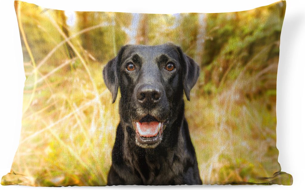 MuchoWow Outdoor Kissen - Glücklicher schwarzer Hund - 50x30 cm - Wetterfest - Lounge Kissen - Sofa kissen - Wohnzimmer Dekoration