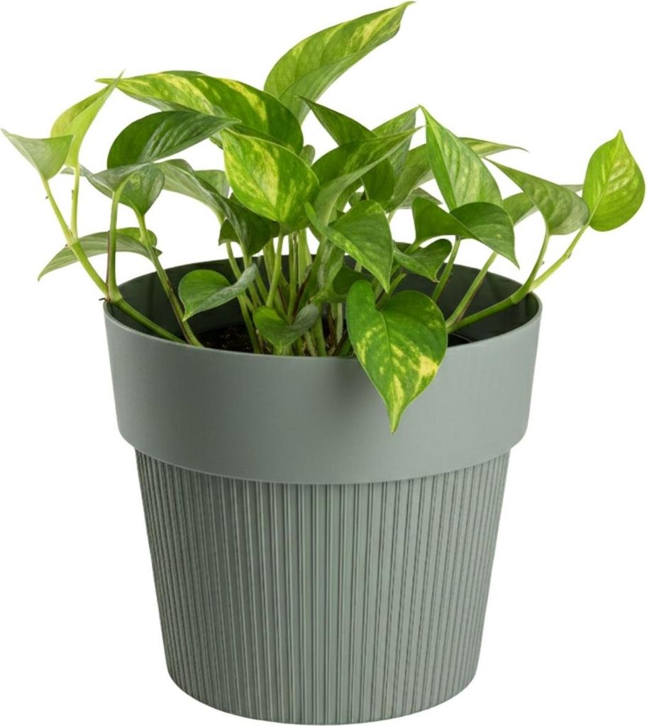 HowHomely | Blumenkübel - Blumentopf - graugrün - 12x14 cm - Rillenstruktur - Pflanzkübel - aus Recyclingmaterial