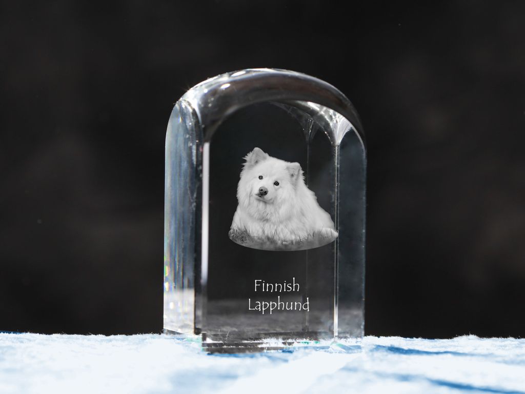 Finnischer Lapphund, Suomenlapinkoira, Lapinkoira - Kristallwürfel mit Bild, Hundebild im Kristall, sechseckiger Papierclip von Art-Dog.