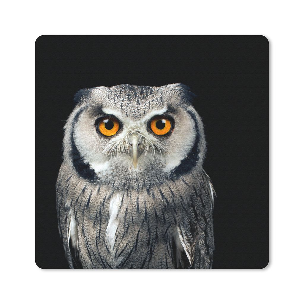 MuchoWow Mauspad Mousepad Eule - Vogel - Orange - Schwarz 30x30 cm - Mousepads - Maus Mat - Pad - Mausunterlage - Gaming