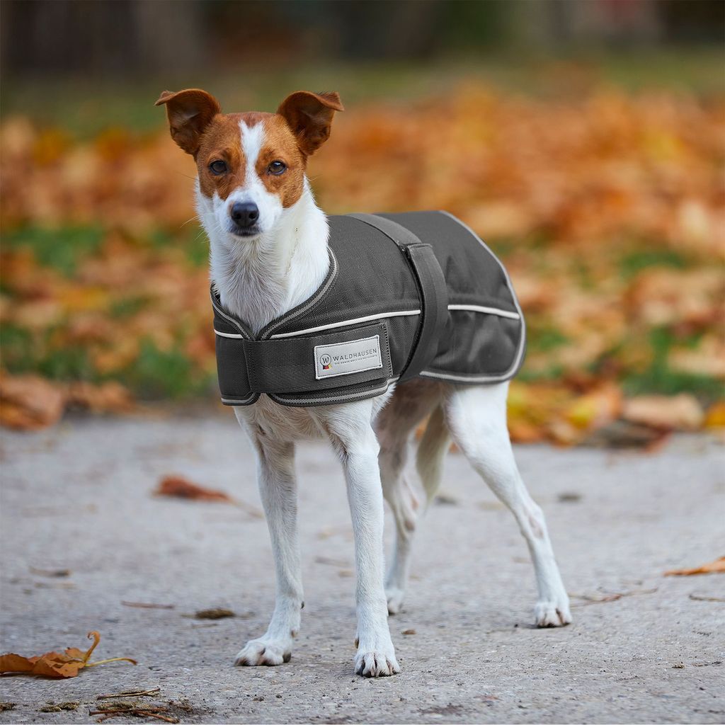 Waldhausen Hundedecke 200g Comfort Line Asphalt 35 cm