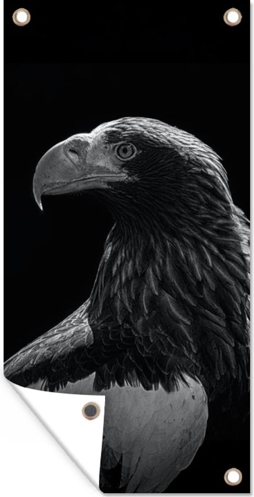 MuchoWow 80x160 cm Outdoor-Poster Gartendeko Sichtschutz Garten Poster für den Garten Adler - Nahaufnahme - Schnabel