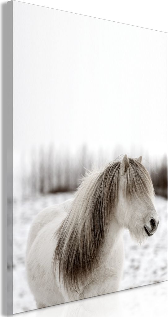 Italienischer Leinwand Leinwandbild - Horse Mane (1 Part) Vertical 80x120 cm Tiere g-B-0232-b-a