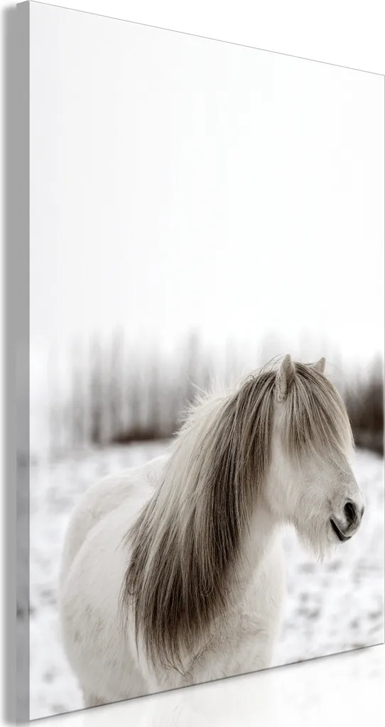 Quadro Cavallo 60x90 Verticale Criniera - Tela Moderna Arredo Casa
