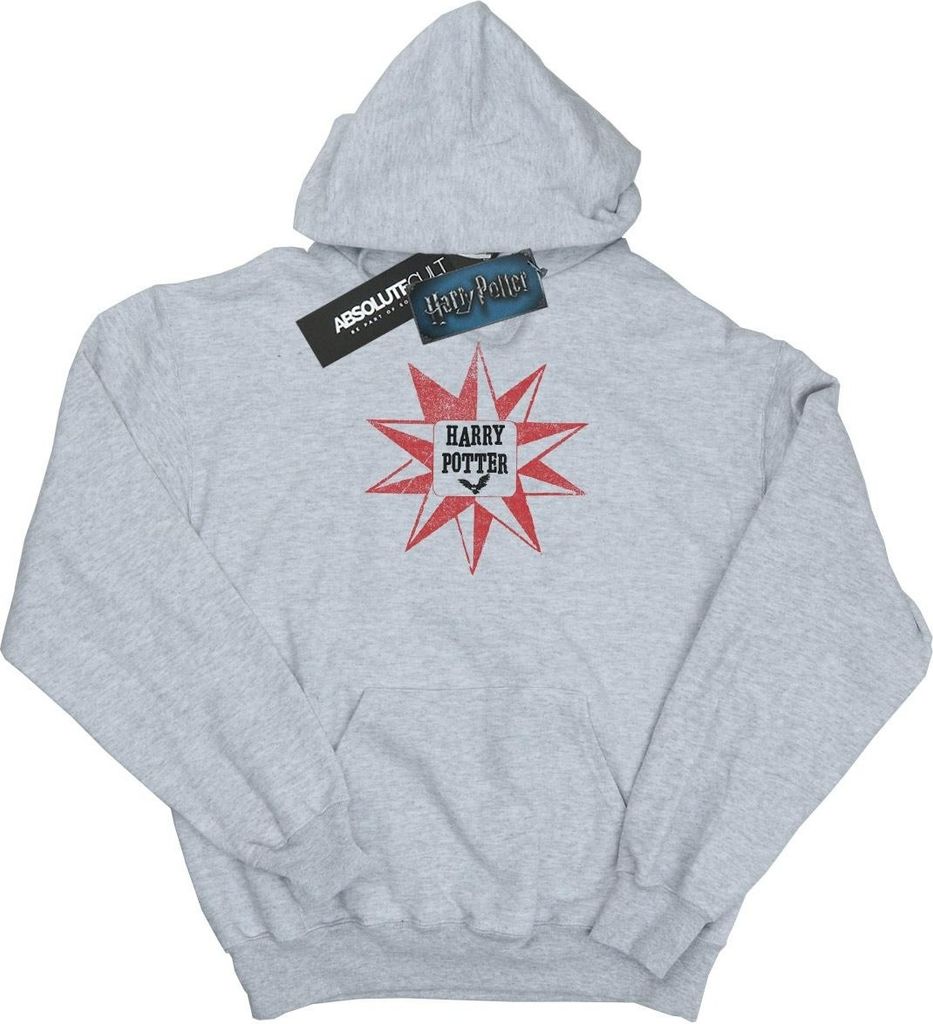 Harry Potter - Kapuzenpullover für Jungen BI7495 (116) (Grau)