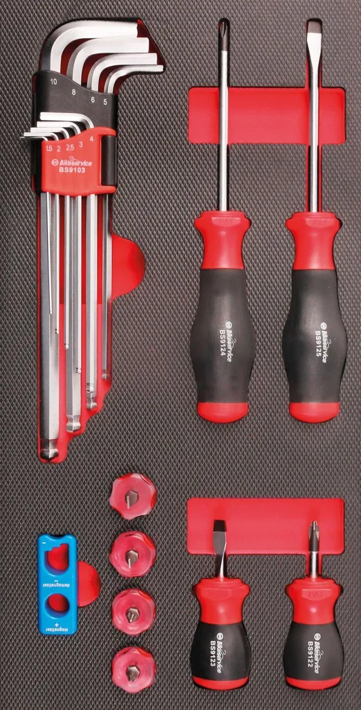 Bikeservice 18 Pz: Cacciavite Modulare e Chiave Angolare - Passione Moto