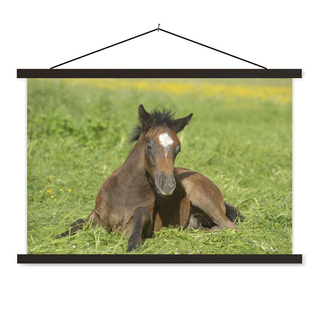 MuchoWow Textilposter Pferde - Licht - Gras 120x80 cm mit schwarzem Rahmen - Wanddeko