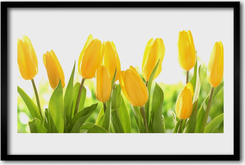 Bild 60x40 MDF-Rahmen Wandkunst Tulpen Blumen Pflanze