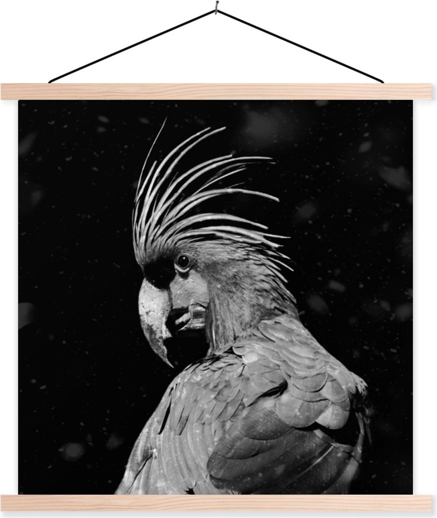 MuchoWow Textilposter Porträt eines Goldkakadus auf schwarzem Hintergrund - schwarz und weiß 120x120 cm mit holzfarbenen Rahmen - Textil-Poster