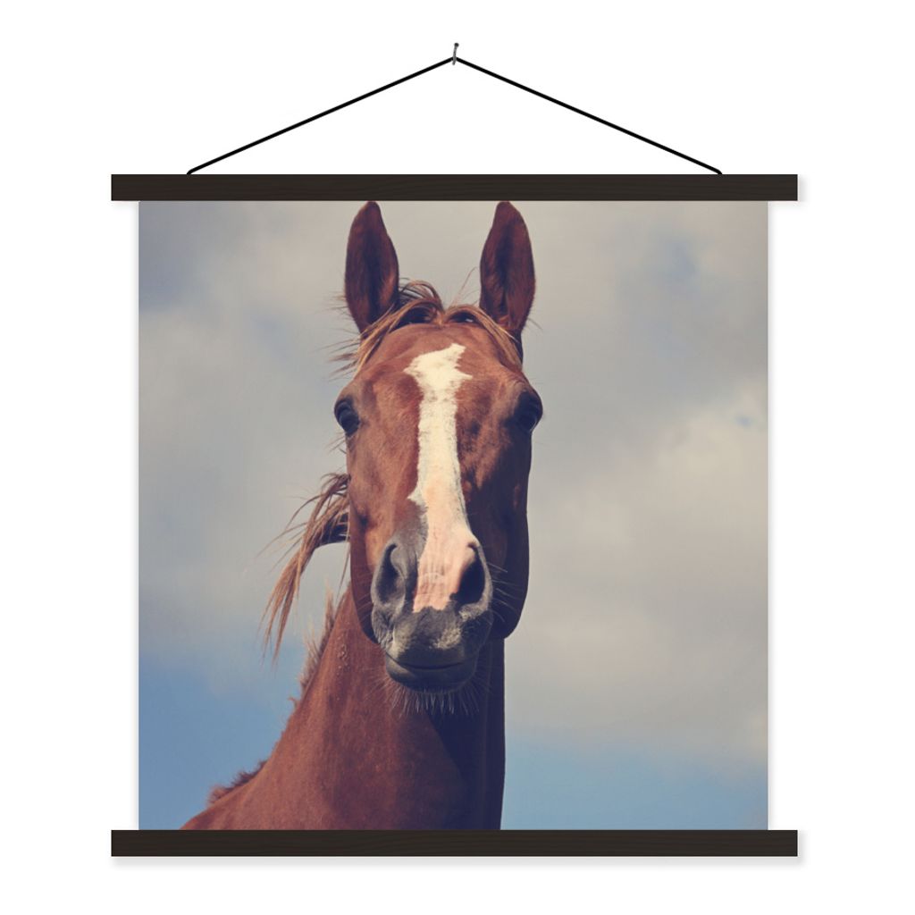MuchoWow Textilposter Pferd - Luft - Blau 40x40 cm mit schwarzem Rahmen - Fotos