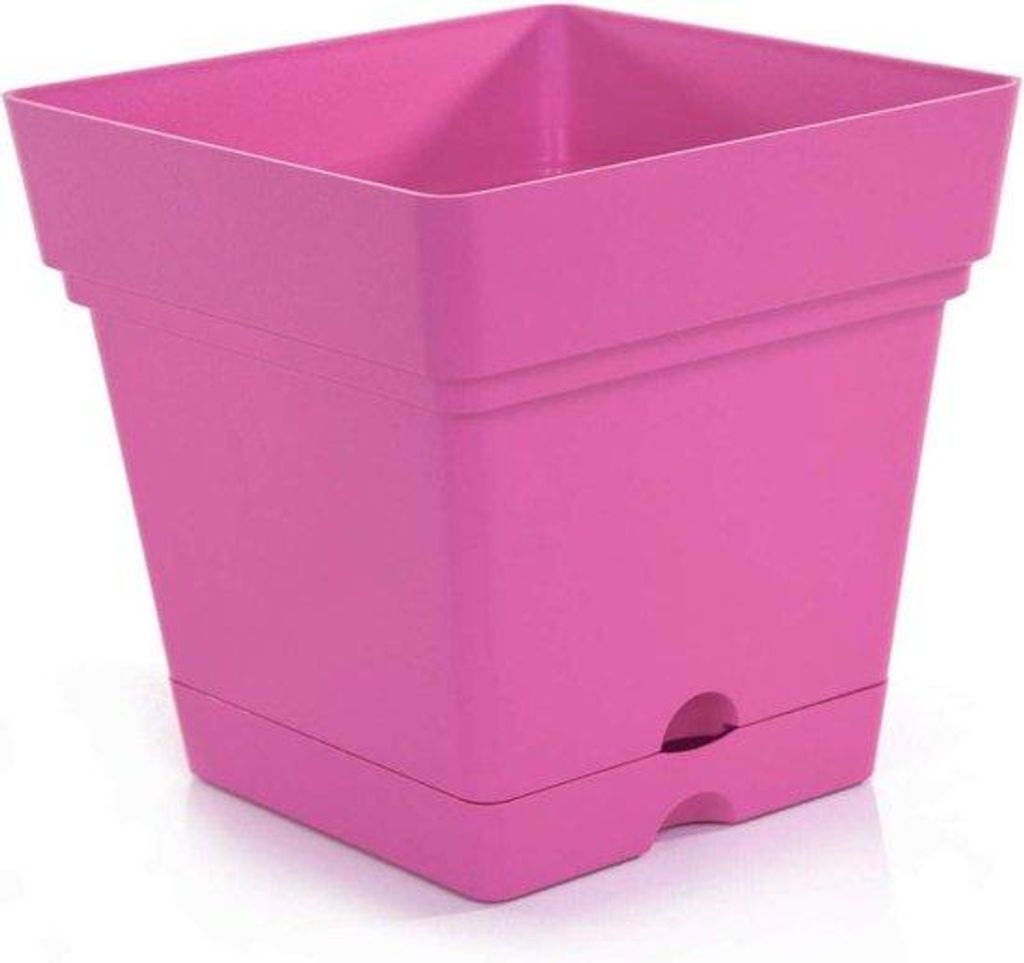 Vierkant Topf 165cm Fuchsia für Blumen Garten Produktbild 