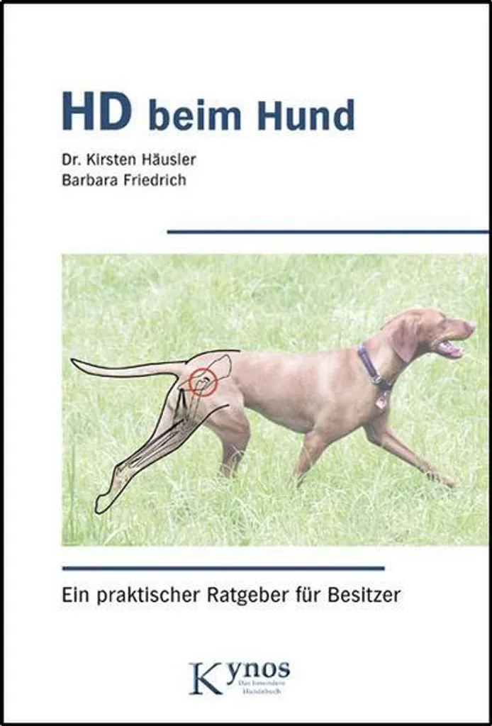 HD beim Hund Solution Raideur Hanche Chien Soulagement Dysplasie 120