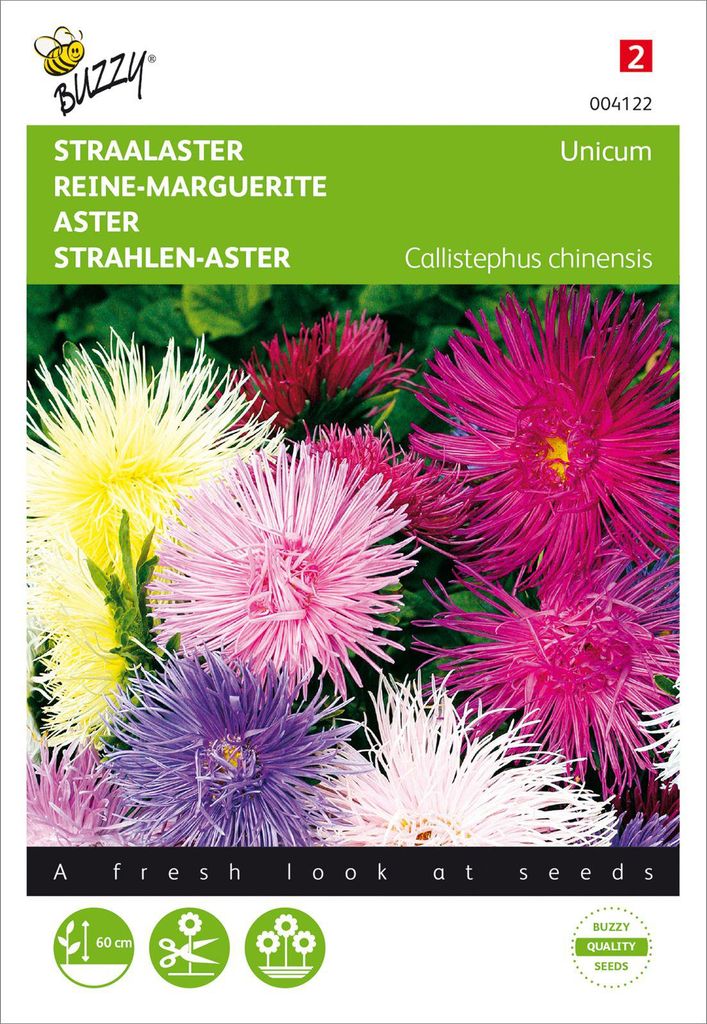 Strahlen Aster Unicum Mischung | Asternsamen von Buzzy Seeds