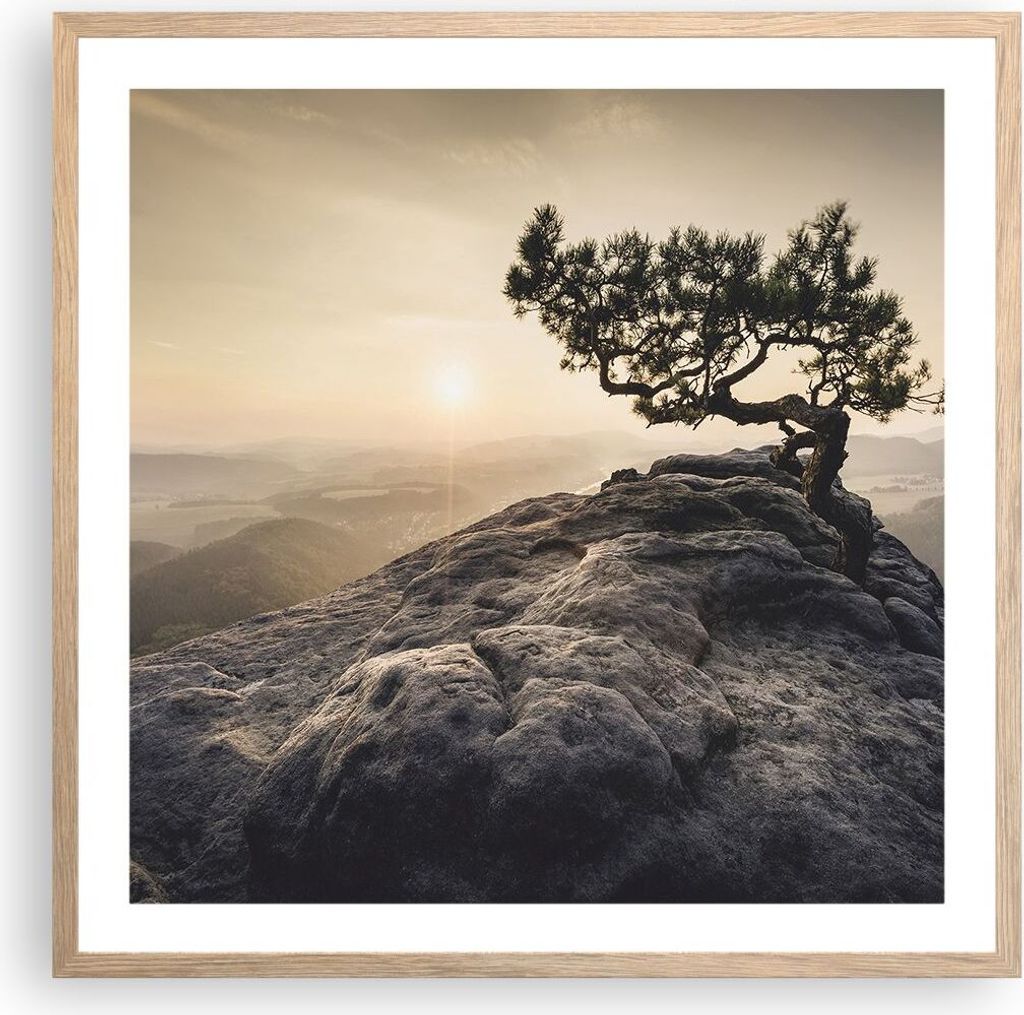Gerahmtes Poster - Rahmen in heller Eiche - Alt Kiefer Berge - 60x60 cm - Wand Bild - Wanddeko - Wandbilder - Kunstposter - Wandposter - Bilderrahm...