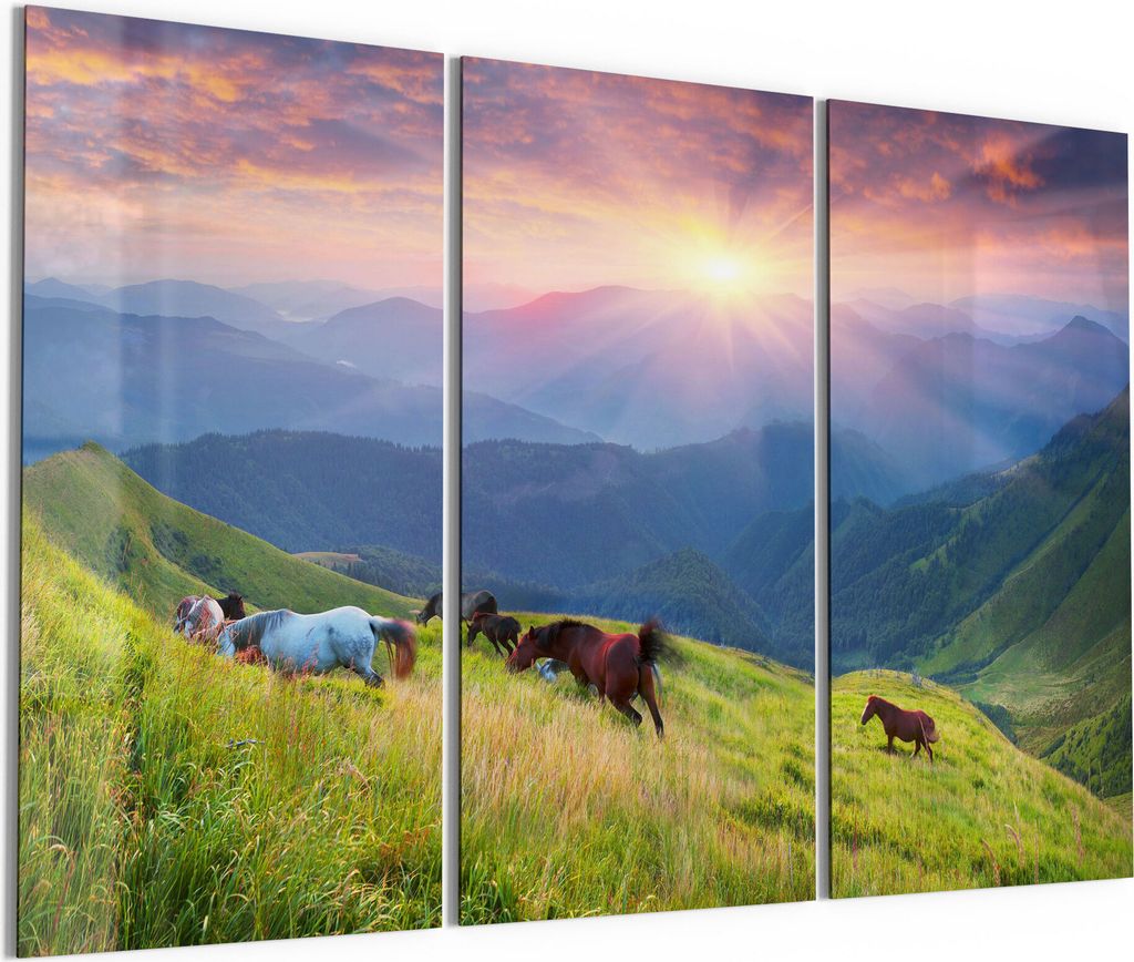 DEQORI Glasbild Echtglas 3x50x100 cm 'Wildpferde in den Bergen' Wandbilder XXL groß