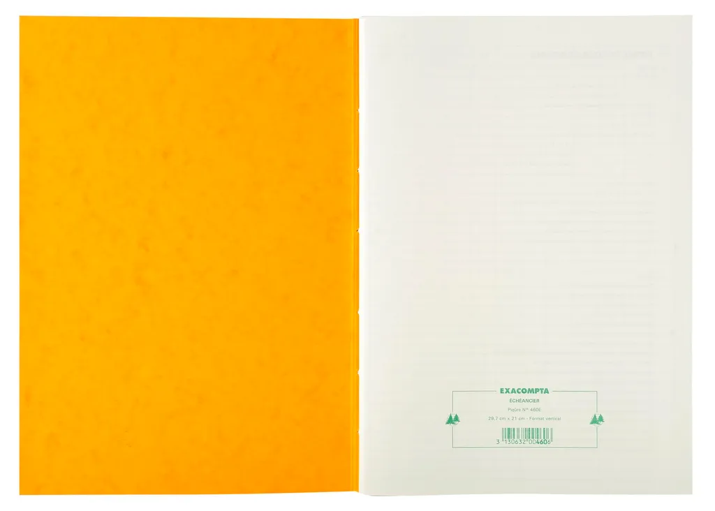 Piqûre Échéancier 80 Pages Format A4 Exacompta 460E Couverture Rigide - 3
