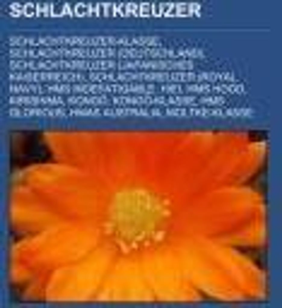 Schlachtkreuzer