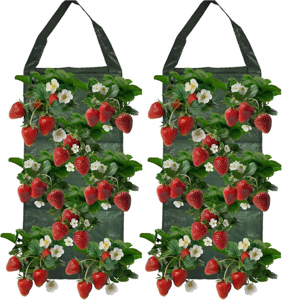 2 Stück hängende Erdbeer-Pflanzsäcke 25×60cm mit 8 Löchern, Produktbild 