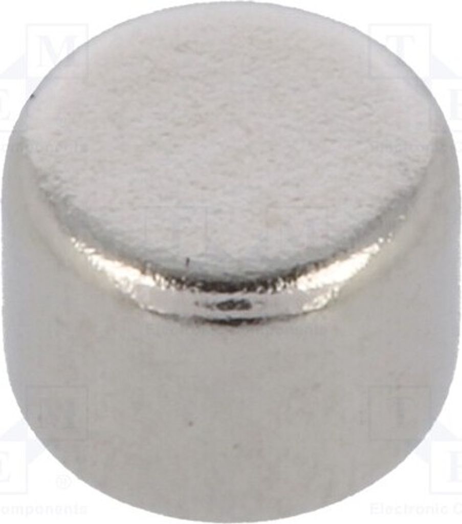1x Magnet: beständig Neodym Ø: 4mm GN 55.2-ND-4-3 Magneten 4N H: 3mm
