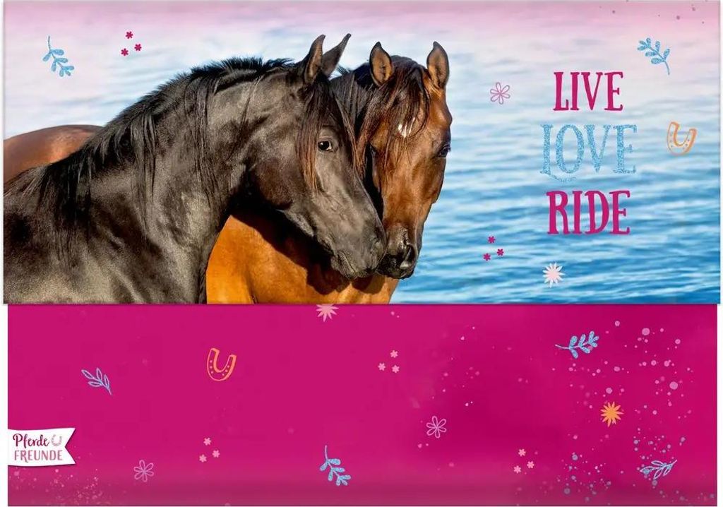 Coppenrath Verlag GmbH & Co.KG Briefpapier-Set - Pferdefreunde 4