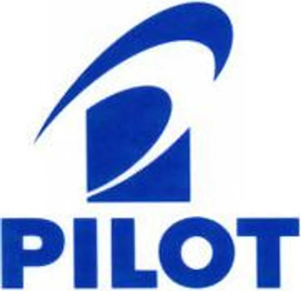 Feutre permanent Pilot bleu pointe moyenne lot de 20 marqueurs indélébiles