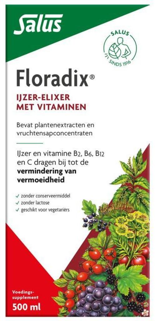 Salus Floradix ijzer elixer (500 ml) Productafbeelding 