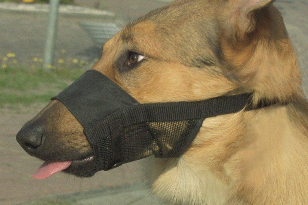 Beeztees Comfort muilkorf - voor honden - maat L - 18-24 cm Productafbeelding 