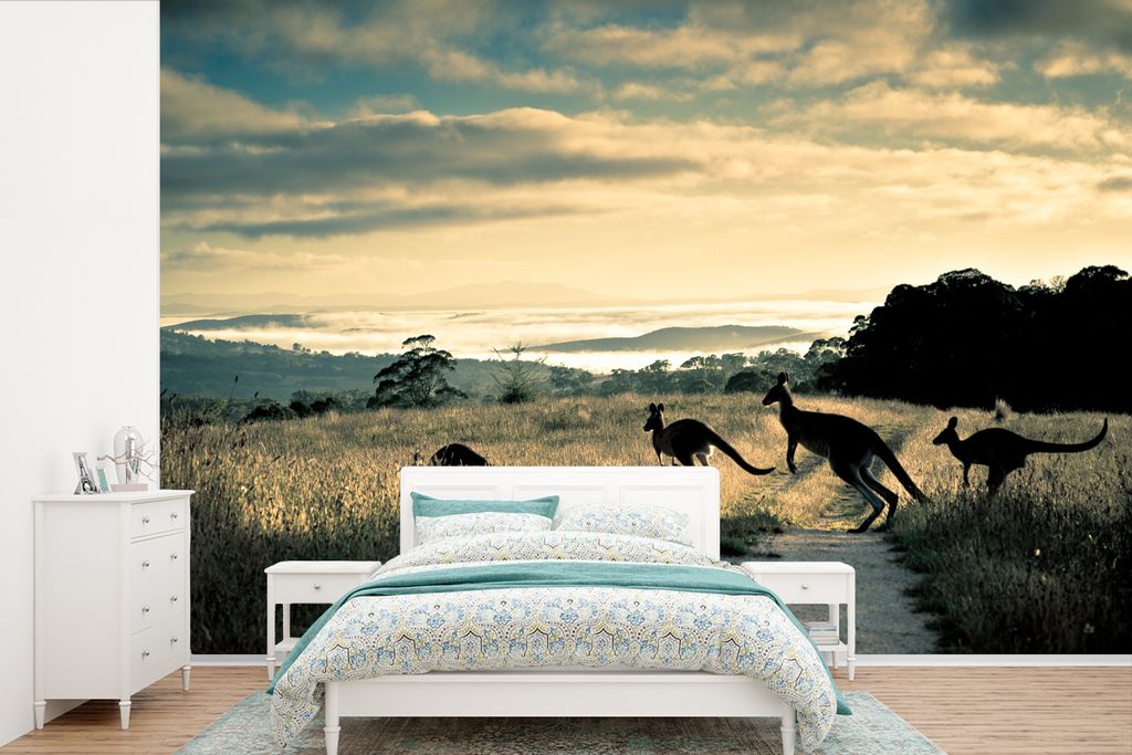 MuchoWow Fototapete für Wohnzimmer oder Schlafzimmer Wandtapete Vinyl Motivtapete Kängurus auf der Straße Fotodruck - 360x240 cm - Vinyl-Tapete