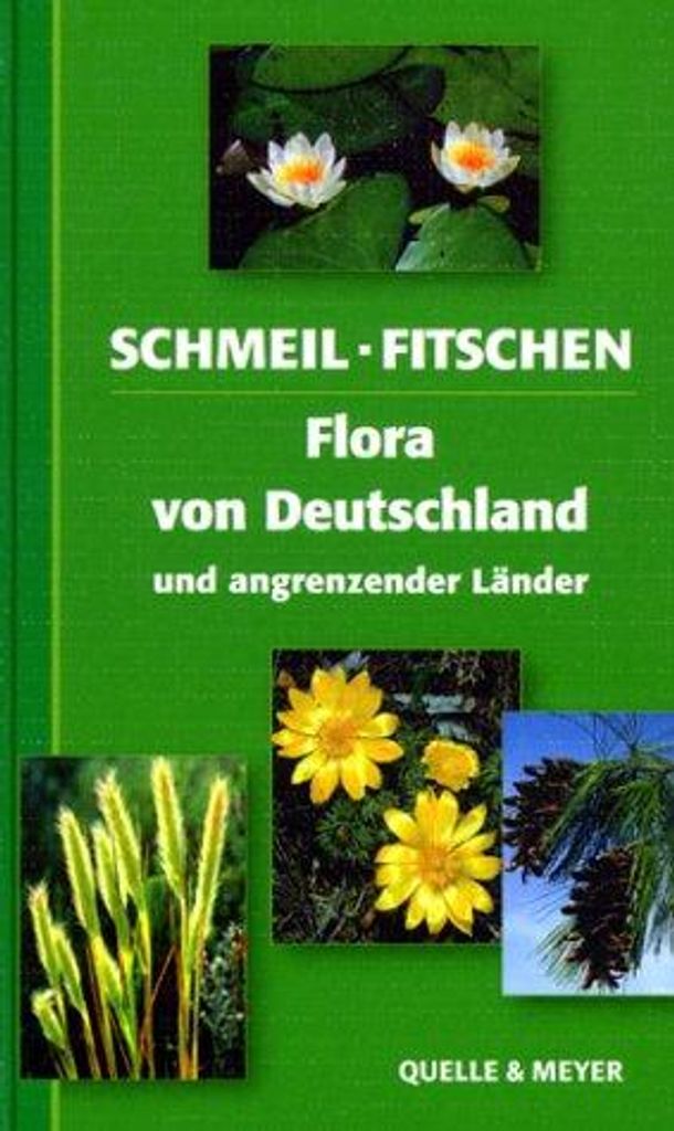 Flora von Deutschland und angrenzender Länder | Otto Schmeil