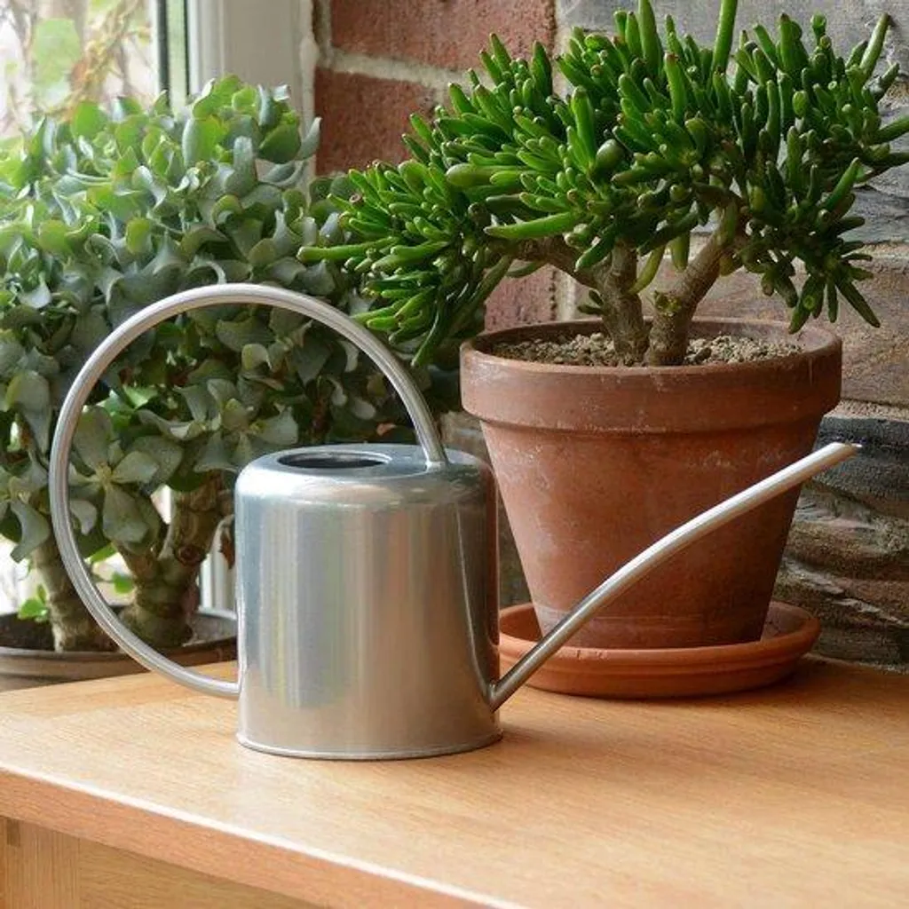 Petit arrosoir décoratif en métal argenté 1,4 L pour salon et bureau