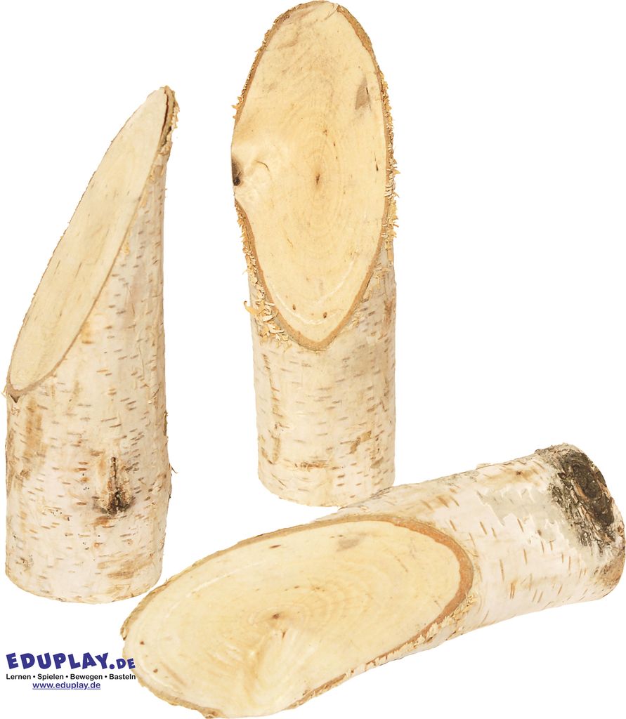 EDUPLAY 310190 Birkenstämmchen, Ø 5 x 14,5 cm, natur, Produktbild 
