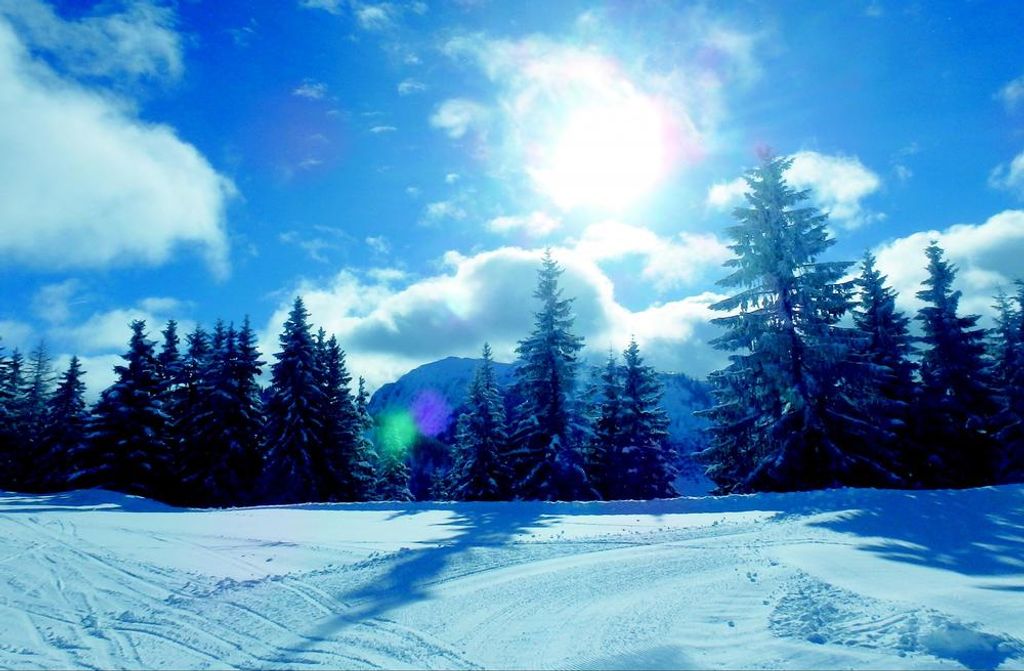 hansepuzzle 31297 - Ski-Urlaub Puzzle, 500 Teile, Natur, 46,0 x 30,0cm mit hochwertiger Aufbewahrung, Kartonbox und wiederverschließbarem Beutel