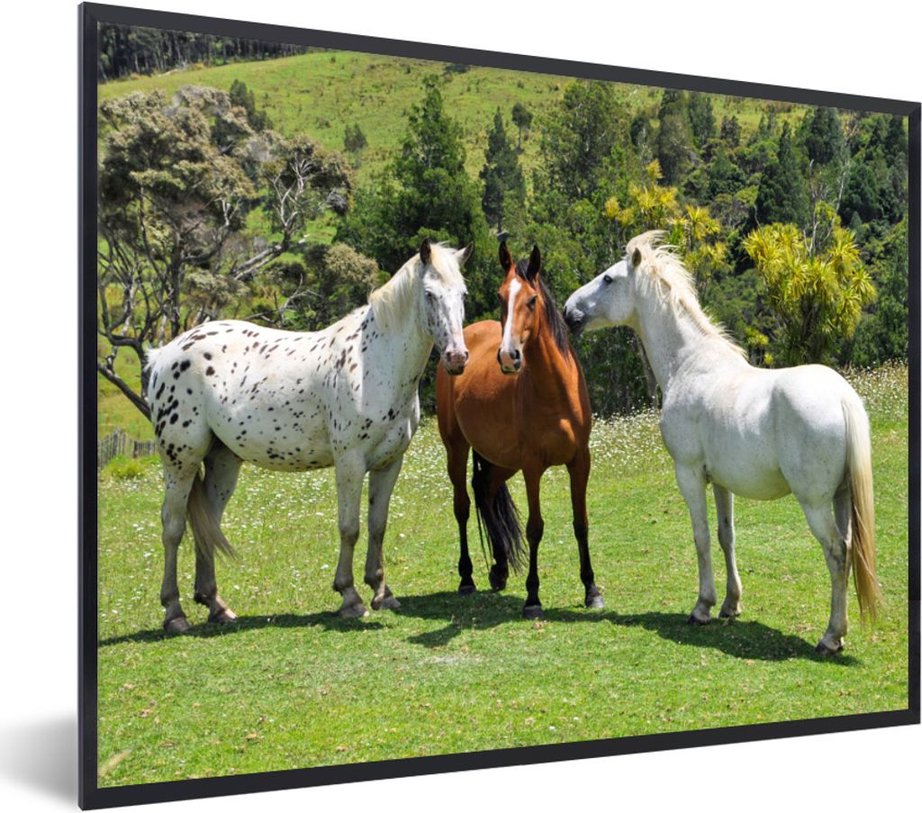 MuchoWow Gerahmtes Poster Pferde - Baum - Schatten 80x60 cm - Poster mit Schwarzem Bilderrahmen Wandposter Rahmen Foto Bilder - Schwarzem - Mit G...