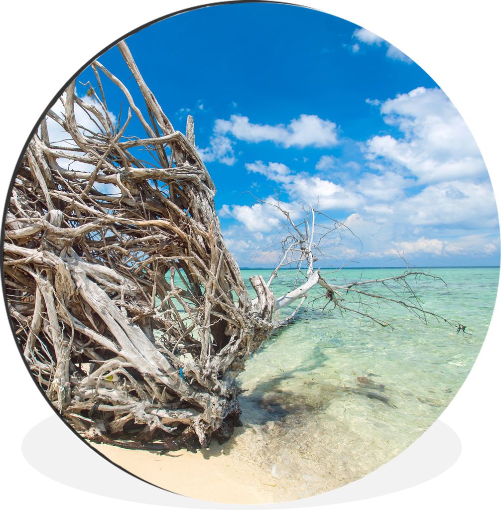 MuchoWow Aluminium Wandkreis Strand - Äste - Tropisch - Meer Ø 90 cm Wanddeko Modern Wohnzimmer - Mauerkreis - Wandbilder - Runde Bild - Bild a...