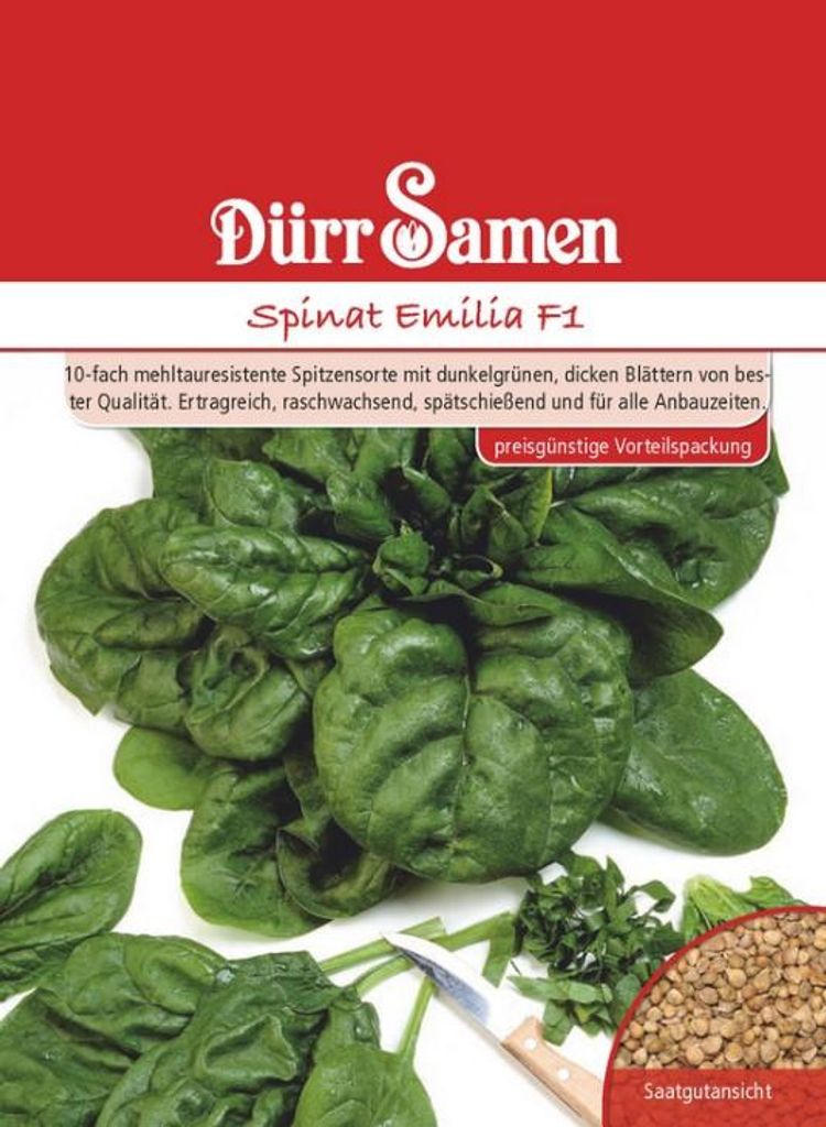Dürr-Samen - Spinat Emilia F1 - Saatgut - 1036