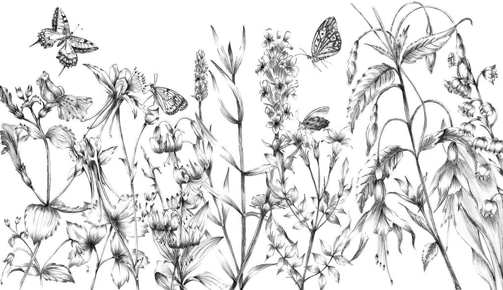Komar Fototapete Schmetterlinge Schwarz-Weiß - 610031 - 400 x 250 cm