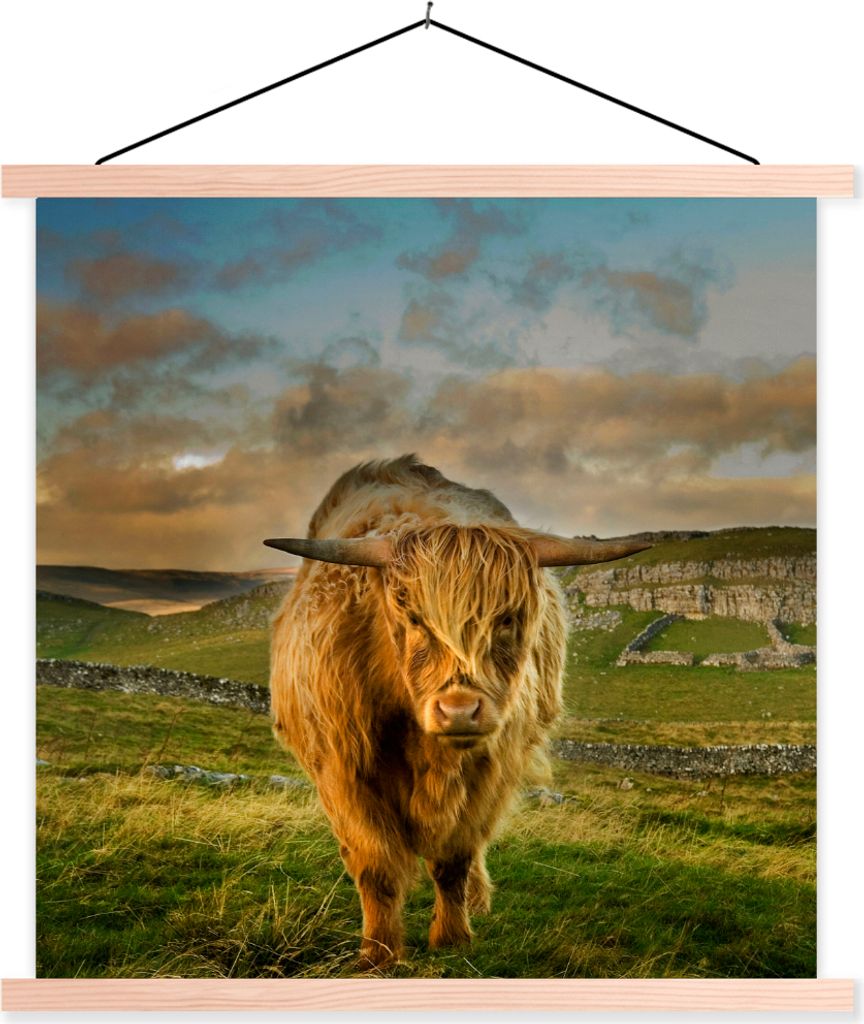 MuchoWow Textilposter Schottisches Hochlandrind - Gras - Berg 40x40 cm mit holzfarbenen Rahmen - Posterleiste