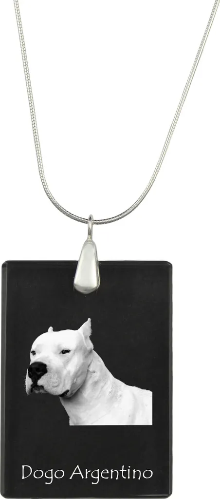 Collana Cane Dogo Argentino Art-Dog | Ciondolo Foto Argento Prezzo